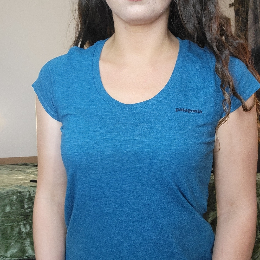 Patagonia Blue Tee Small